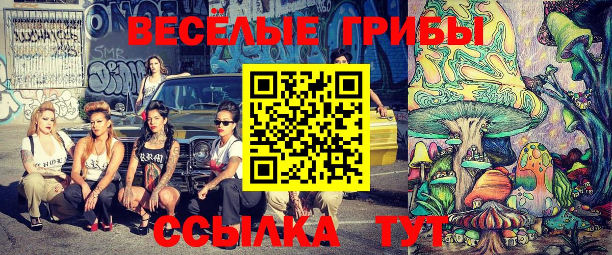 Псилоцибиновые грибы мухоморы  Псилоцибиновые грибы Psilocybe  Вход с VPN  Новозыбков 
